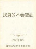 我真的不会使剑